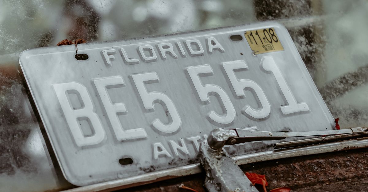 Slim License Plate Frame